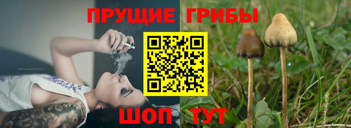 Канабис Великий Устюг